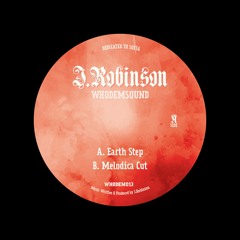 WHODEM013 J.Robinson WhoDemSound - Earth Step / Melodica Cut 7'' Vinyl OUT NOW