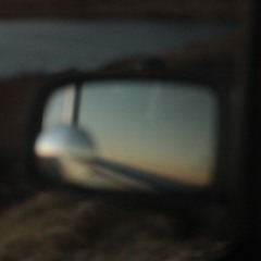 I Don't Need To Swim With Dolphins