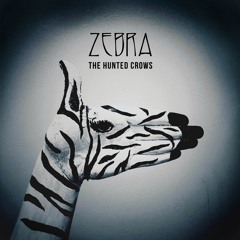 Zebra (John Butler Trio Cover)