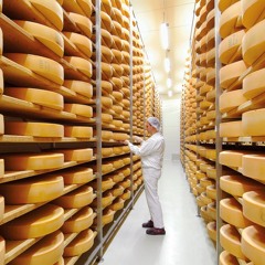 3CheeseHigh/Beat:Gregsn & Eva