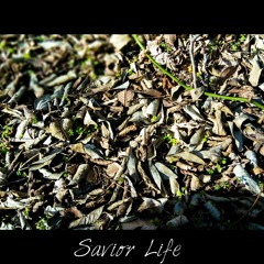 Savior Life