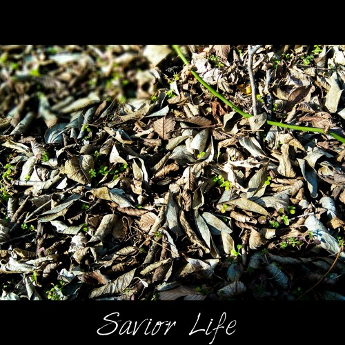 Savior Life
