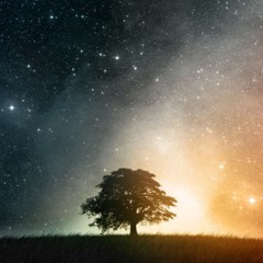 Lonely Night - (Prod. Blunted Beatz)