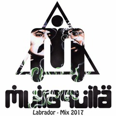 Muiraquitã_Labrador (mix 2017)