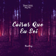 Danni Carlos - Coisas Que Eu Sei (Stay Box Bootleg)[#BUY FREE DOWNLOAD]