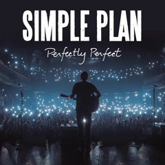 Perfectly Perfect - Simple Plan | Sound Made Clearer Cover