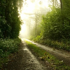 Hoping For Rain (1.31.17)