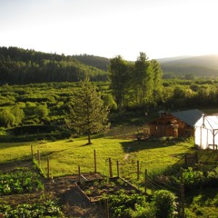 Live In The Country (Rough)