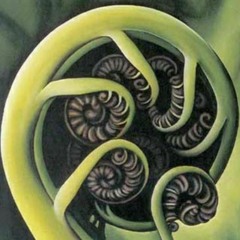 Koru