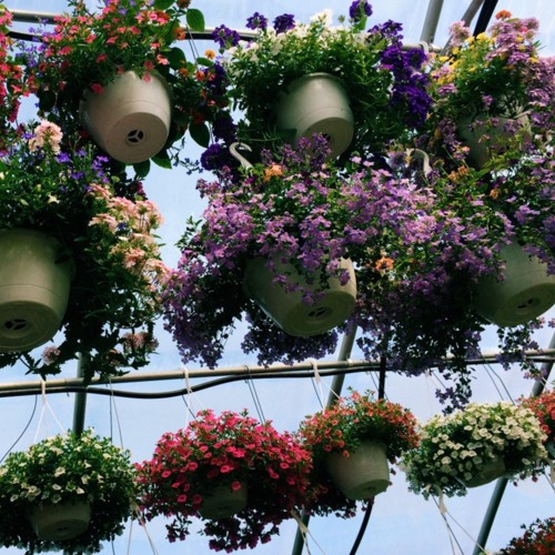 Christmas In July [prod. by Jay Vee]