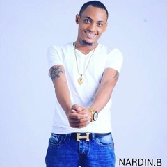 NARDIN B   GANDJA