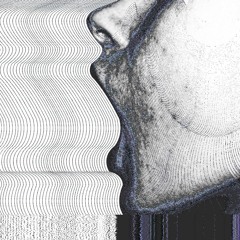 L E E N D E R T - Guerilla