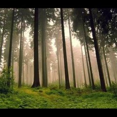 Enya - Boadicea (Jens Jakob Bootleg) Free download