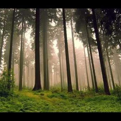 Enya - Boadicea (Jens Jakob Bootleg) Free download