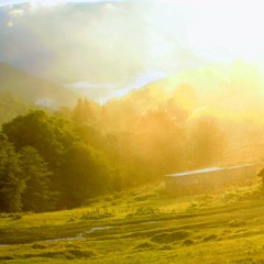 Sunshower