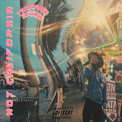 SWAMPLIFETERRY - Not California (PROD.BY BIV)