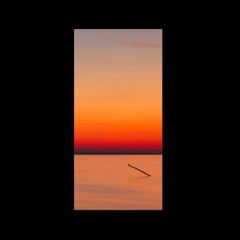 Decisions | Illusions | Confusions