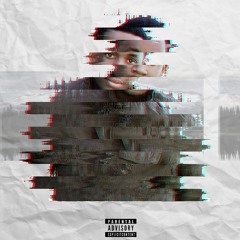 Leaves In The Winter