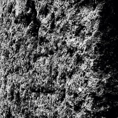 PREMIERE: roadman - The Wall [Tact]