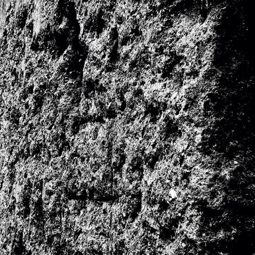 PREMIERE: roadman - The Wall [Tact]