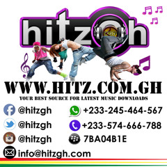 RNS (Rich Nigga Shit) Instrumental (Prod by M.O.G Beatz) [www.hitz.com.gh]