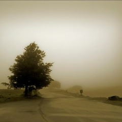 Symphony Nostalgique Portugal Reading Session - Letter G