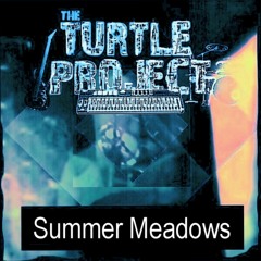 Summer Meadows