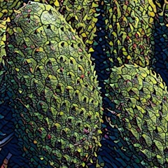 Rawayana - Entre Tus Sabanas (Un Tipo Sin Ritmo Remix)