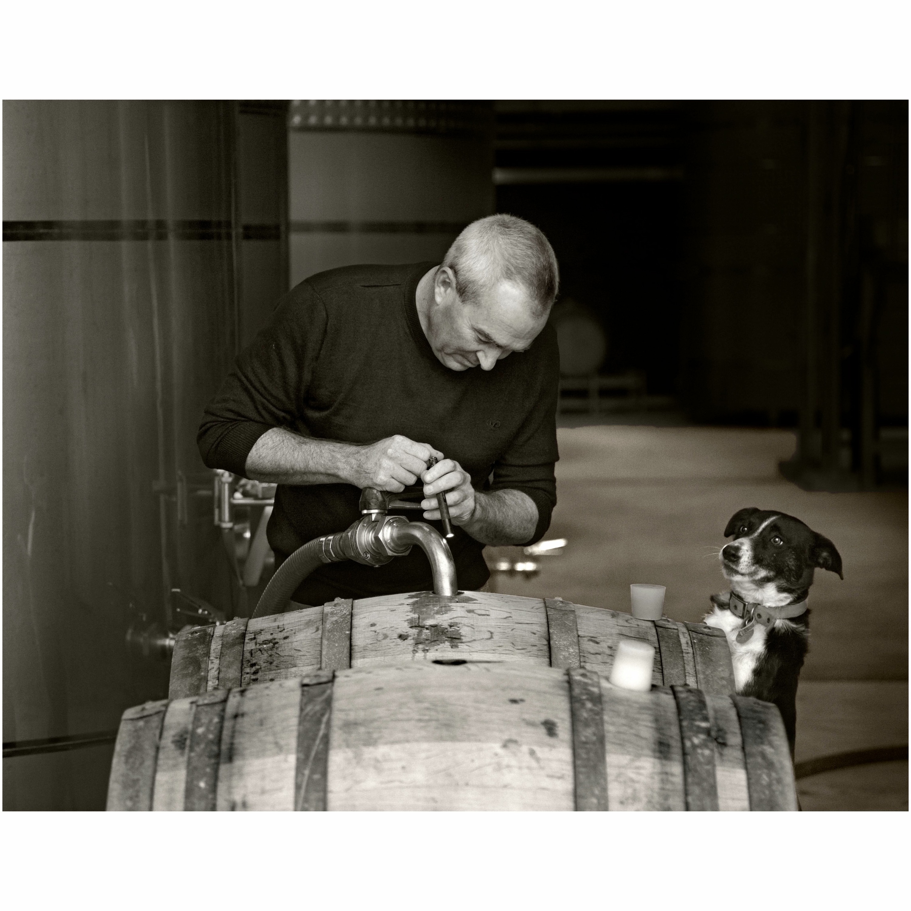 Wine Podcast: The Honest Pour with John Lenart
