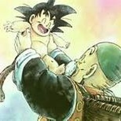 Fist of the North Star