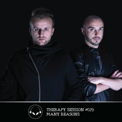 Therapy Session #029 - Guest: Many Reasons