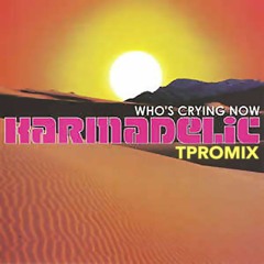 Who's Crying Now TproMix Karmadelics & Fast Eddie