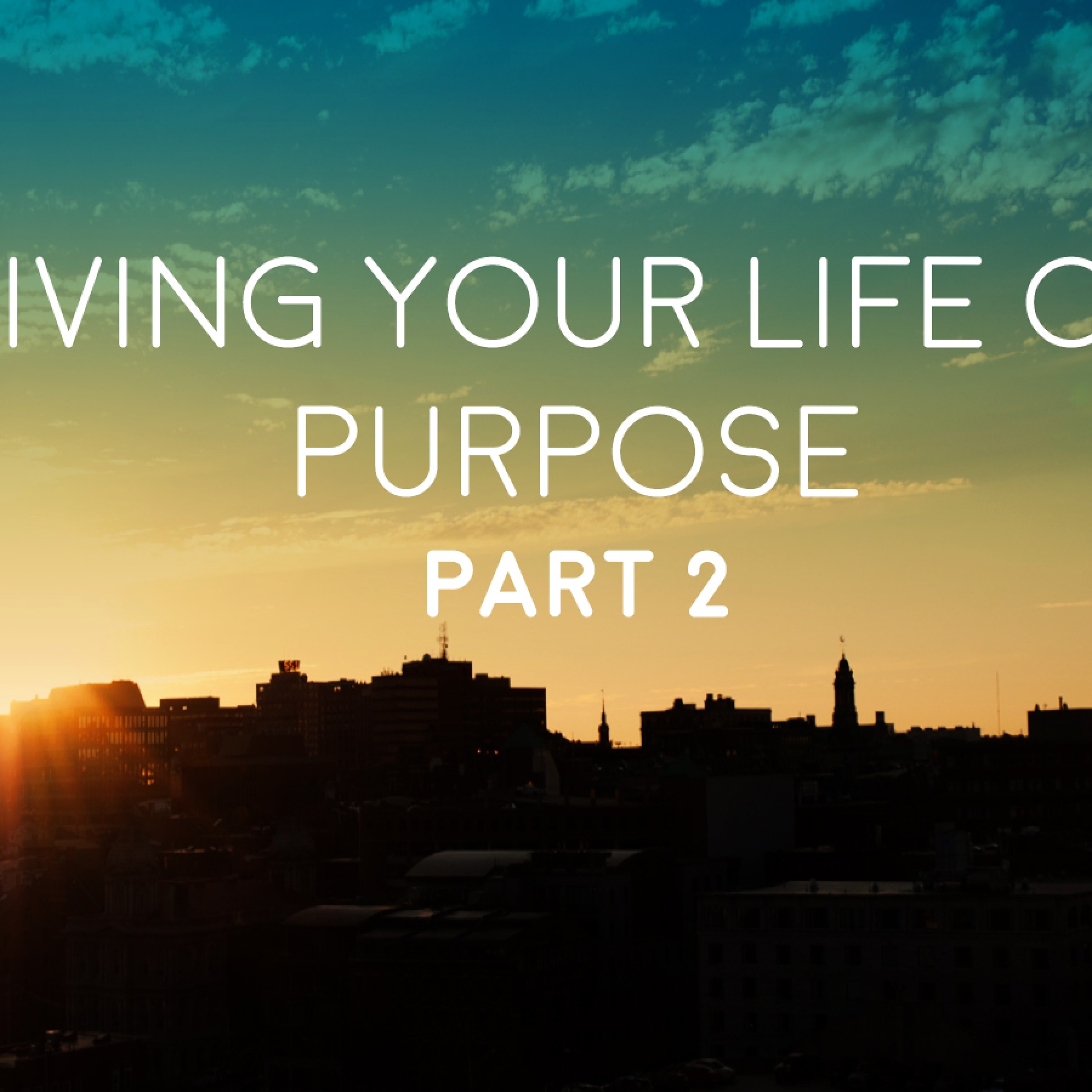 1 - 29 - 17  Living Your Life on Purpose Part 2 episode artwork