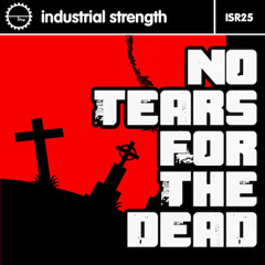 Extreme Terror (The Sickest Squad Remix) - DJ Skinhead - ISR25