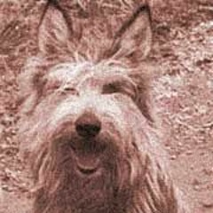 Hortense Won't Be Mine (edited demo version)