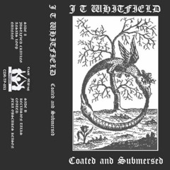 JT WHITFIELD - ANSIAS LOOP
