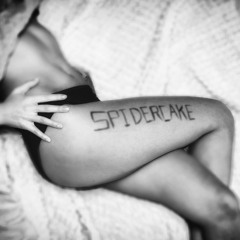 Spidercake - Unbelievable