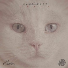 CamelPhat - The System (Original Mix)