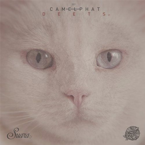 CamelPhat - The System (Original Mix)