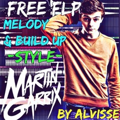 Free Melody And Build Up(Style:Martin Garrix)By Alvisse