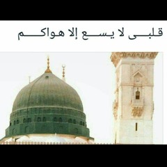 الشيخ محمد المنتصرالدح\حبيبي اصل الجمال