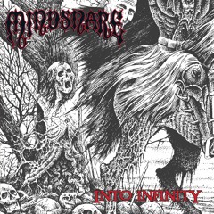 Mindsnare "Into Infinity"
