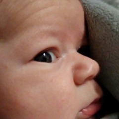 the son is my center