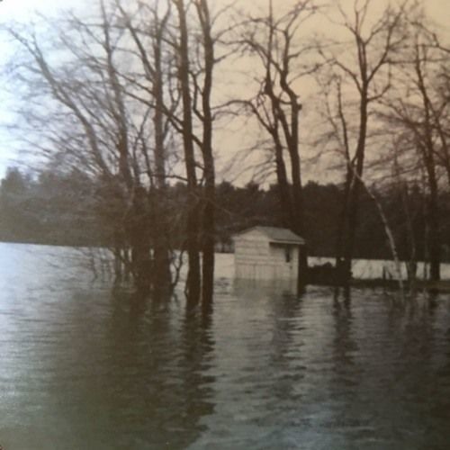 never,forever.- unmarked grave