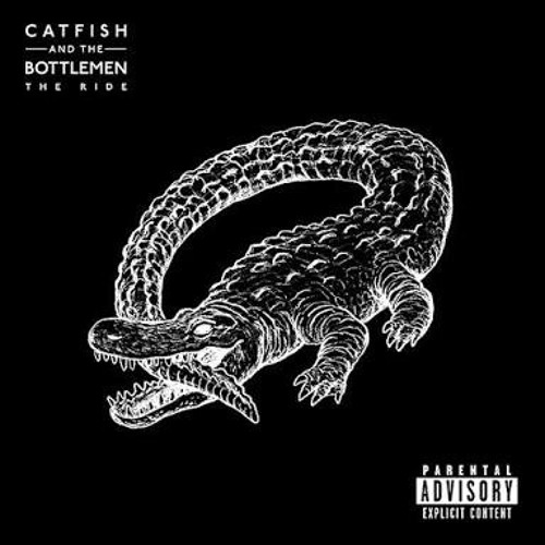 7 - catfish and the bottlemen