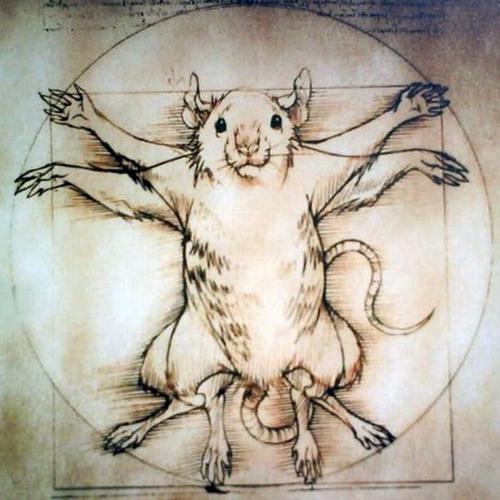 Lab Rats feat. eMCee tha EmcEE
