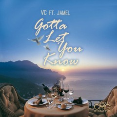 Gotta Let You Know-VC