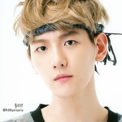 Wolf (remix ver) - EXO