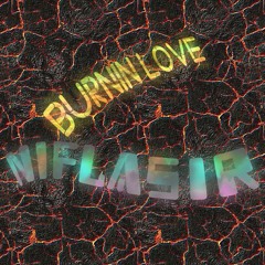 Burnin Love
