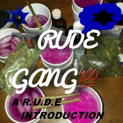 NO LUV - R.U.D.E GANG